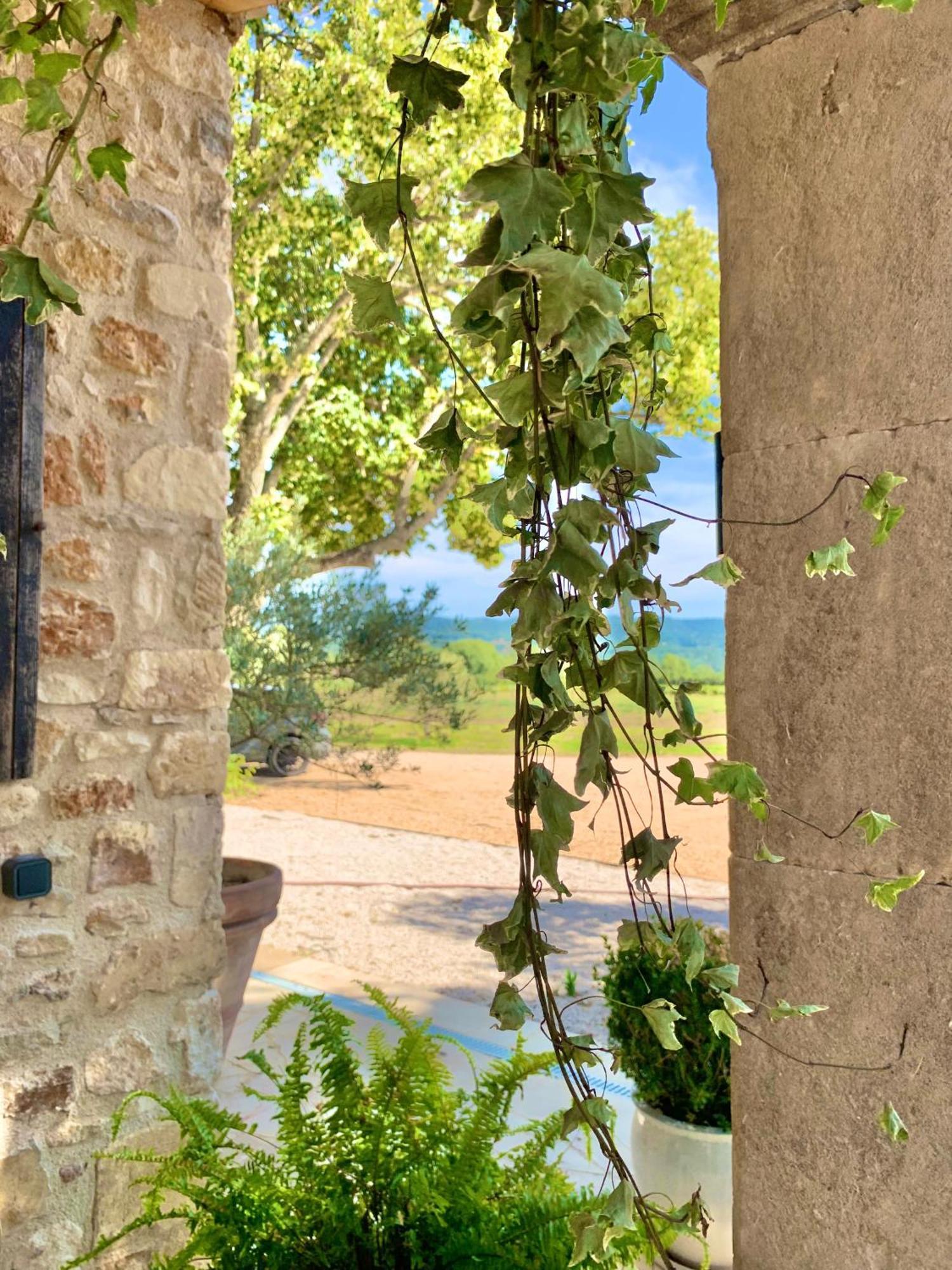 Domaine D'Egenia Villa Roussillon en Isere Exteriör bild