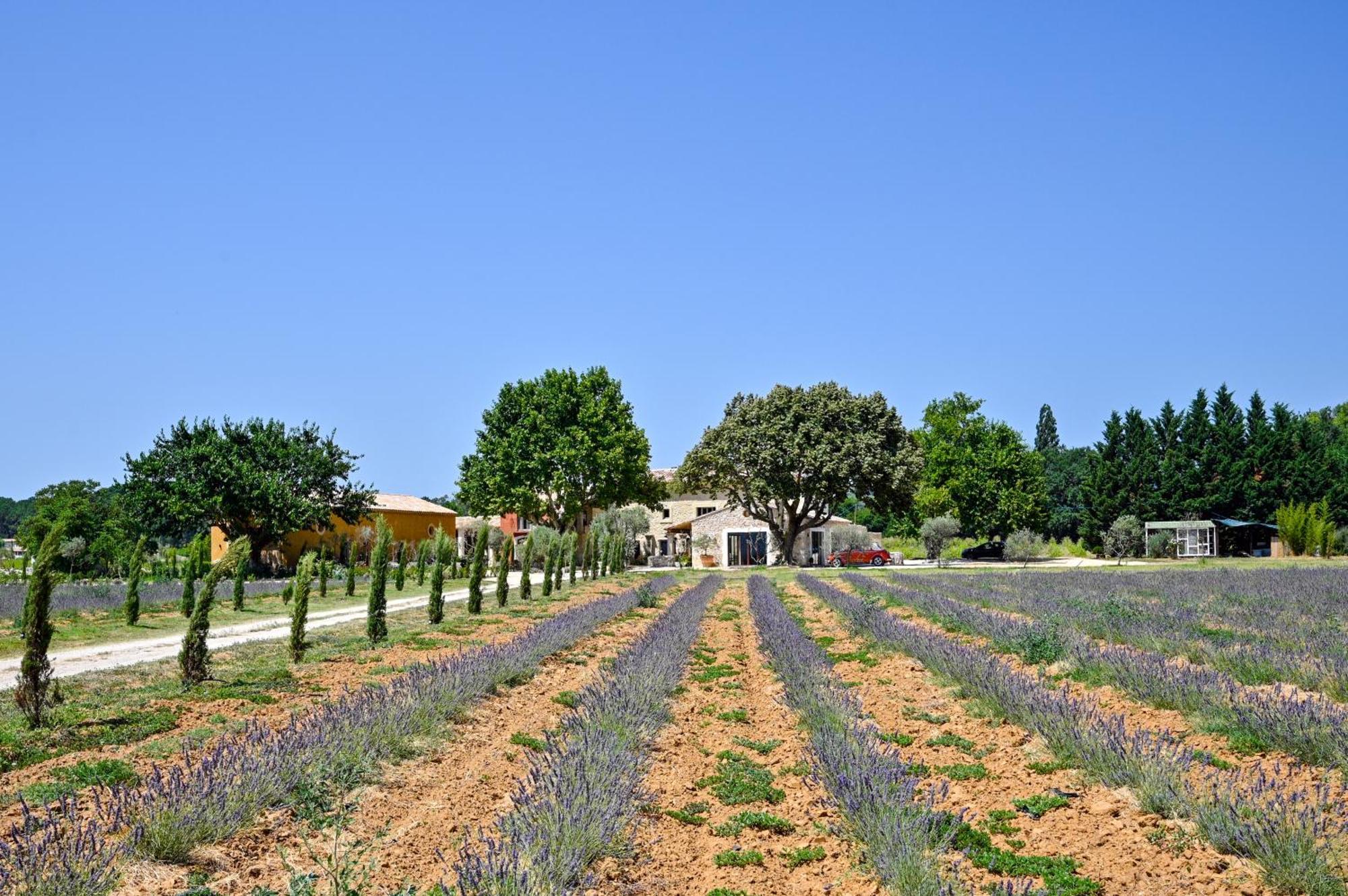 Domaine D'Egenia Villa Roussillon en Isere Exteriör bild